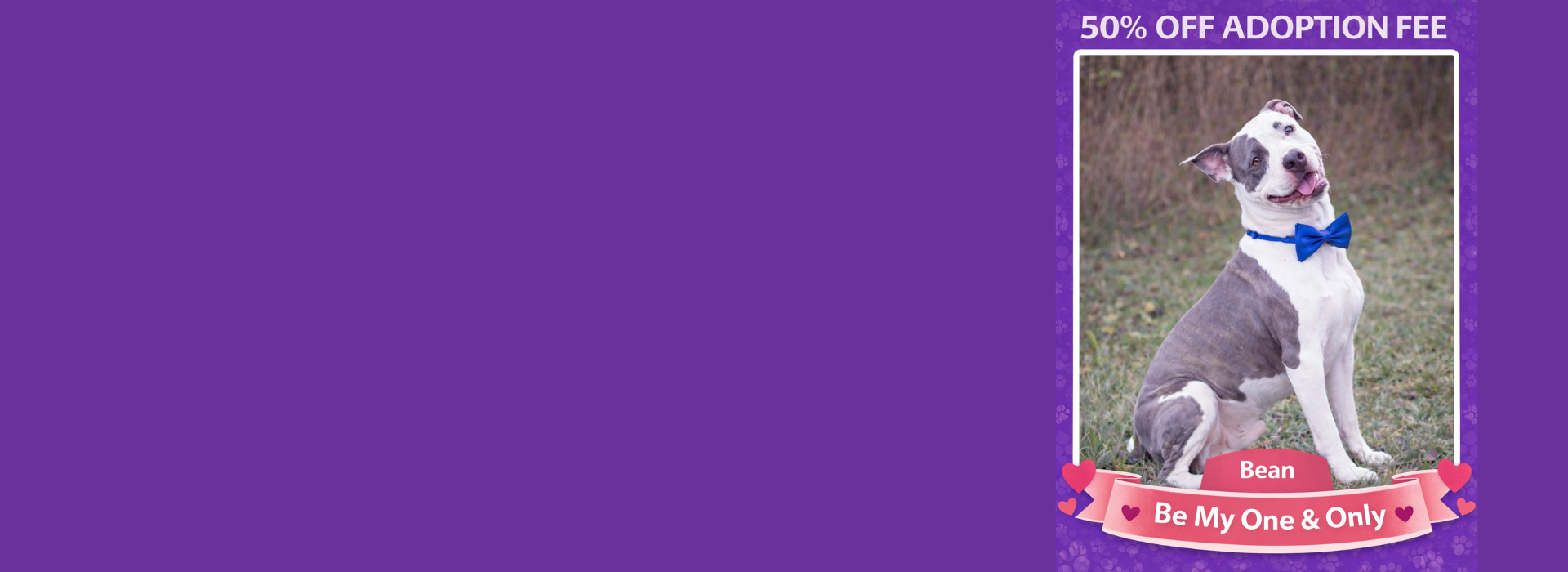 Be My One and Only Adoption Event